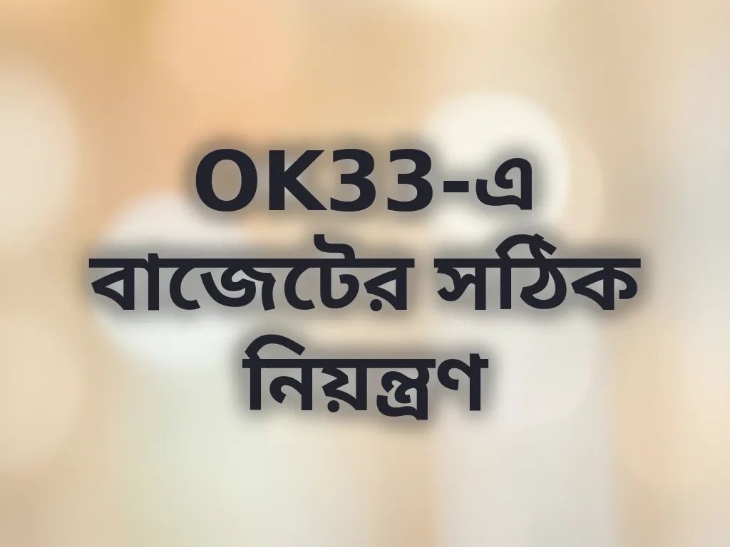 বাজেট টিপস